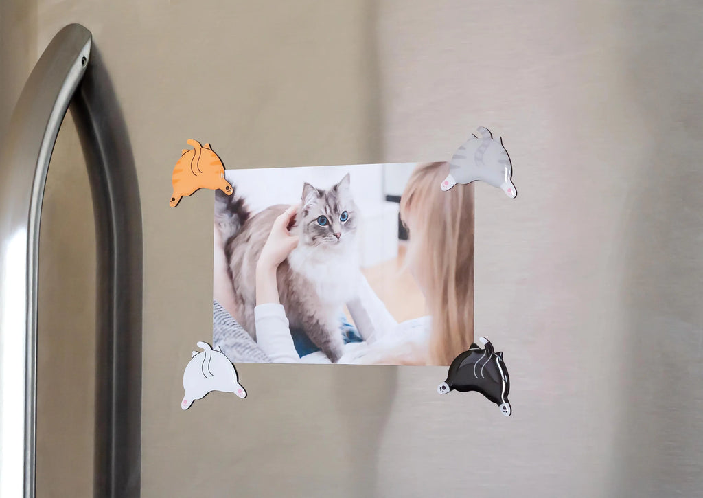 Cat Butt Magnets