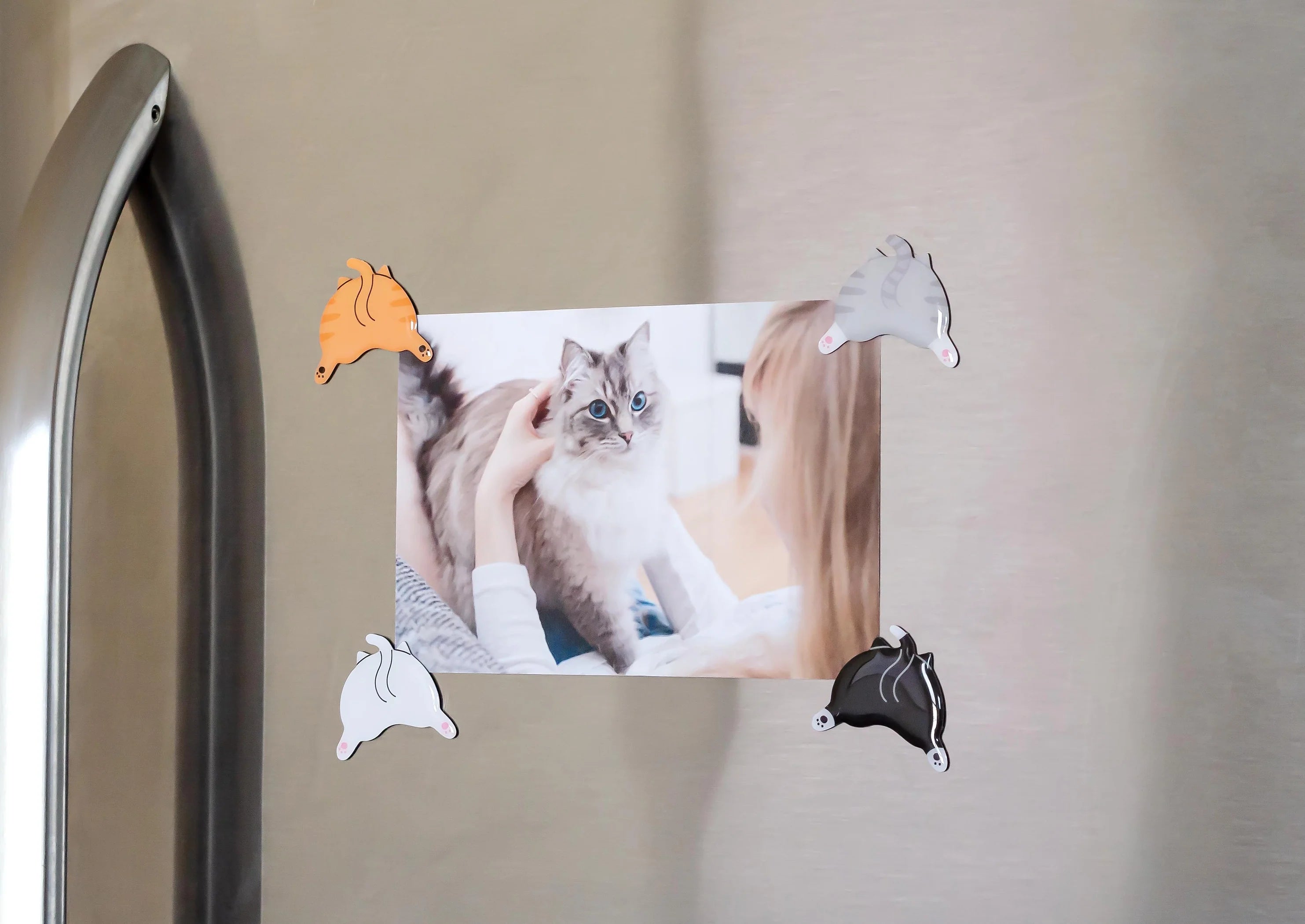 Cat Butt Magnets
